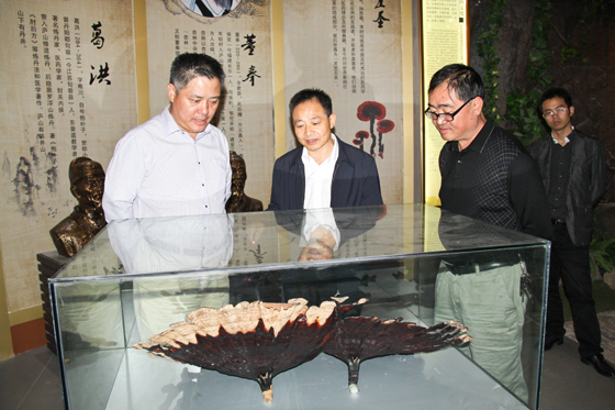 杭州亞運會官方靈芝產(chǎn)品供應商|杭州亞運會官方供應商|中國靈芝十大品牌|仙客來靈芝|仙客來靈芝破壁孢子粉|仙客來孢子油|仙客來靈芝飲片|仙客來破壁孢子粉|靈芝孢子油|孢子粉|靈芝破壁孢子粉|靈芝|中華老字號