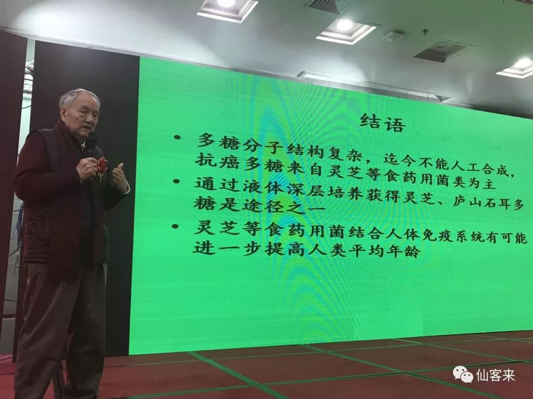 中國(guó)靈芝十大品牌|仙客來(lái)靈芝|仙客來(lái)靈芝破壁孢子粉|仙客來(lái)孢子油|仙客來(lái)靈芝飲片|仙客來(lái)破壁孢子粉|仙客來(lái)靈芝中藥飲片|馳名商標(biāo)|www.thomassmithdesign.com|