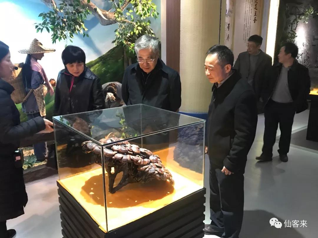 中國(guó)靈芝十大品牌|仙客來(lái)靈芝|仙客來(lái)靈芝破壁孢子粉|仙客來(lái)孢子油|仙客來(lái)靈芝飲片|仙客來(lái)破壁孢子粉|仙客來(lái)靈芝中藥飲片|馳名商標(biāo)|www.thomassmithdesign.com|