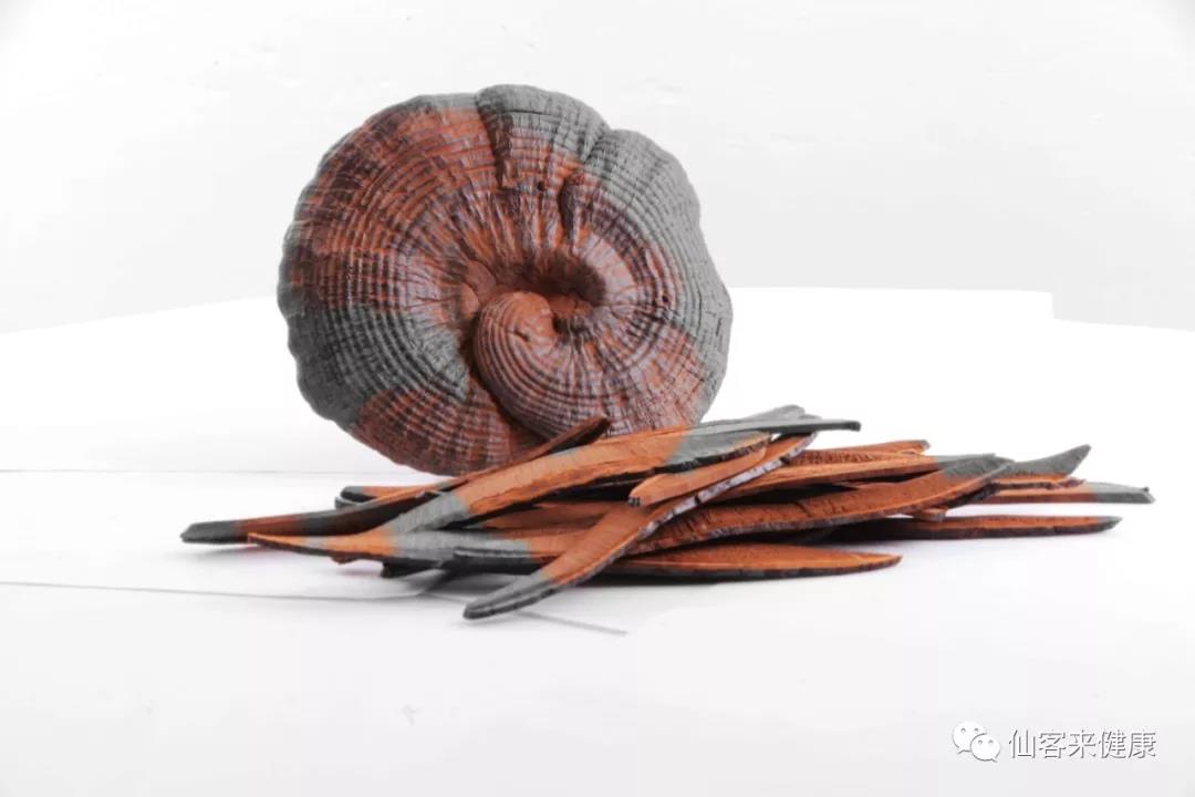 中國(guó)靈芝十大品牌|仙客來(lái)靈芝|仙客來(lái)靈芝破壁孢子粉|仙客來(lái)孢子油|仙客來(lái)靈芝飲片|仙客來(lái)破壁孢子粉|仙客來(lái)靈芝中藥飲片|馳名商標(biāo)|www.thomassmithdesign.com|