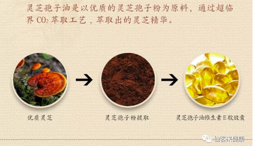中國靈芝十大品牌|仙客來靈芝|仙客來靈芝破壁孢子粉|仙客來孢子油|仙客來靈芝飲片|仙客來破壁孢子粉|仙客來靈芝中藥飲片|馳名商標|www.thomassmithdesign.com|