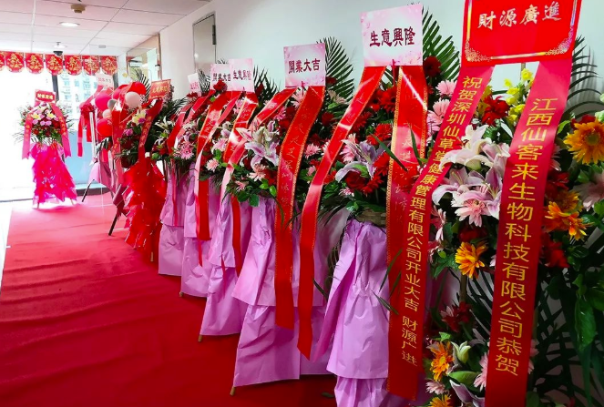 中國靈芝十大品牌|仙客來靈芝|仙客來靈芝破壁孢子粉|仙客來孢子油|仙客來靈芝飲片|仙客來破壁孢子粉|仙客來靈芝中藥飲片|馳名商標(biāo)|www.thomassmithdesign.com|