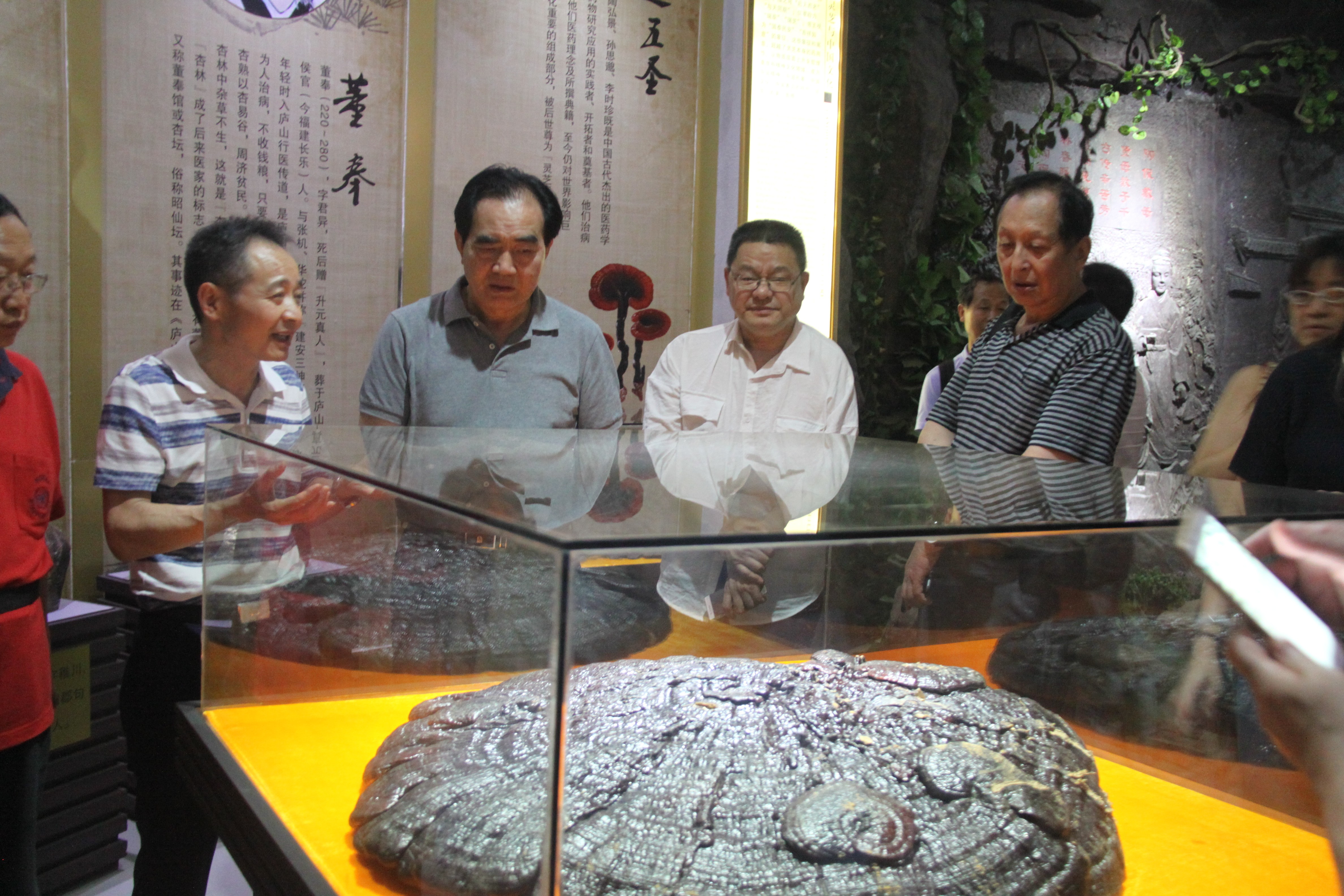 中國靈芝十大品牌|仙客來靈芝|仙客來靈芝破壁孢子粉|仙客來孢子油|仙客來靈芝飲片|仙客來破壁孢子粉|仙客來靈芝中藥飲片|馳名商標(biāo)|www.thomassmithdesign.com|