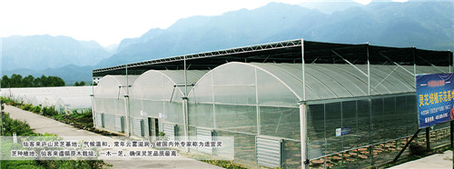 中國靈芝十大品牌|仙客來靈芝|仙客來靈芝破壁孢子粉|仙客來孢子油|仙客來靈芝飲片|仙客來破壁孢子粉|仙客來靈芝中藥飲片|馳名商標(biāo)|www.thomassmithdesign.com|