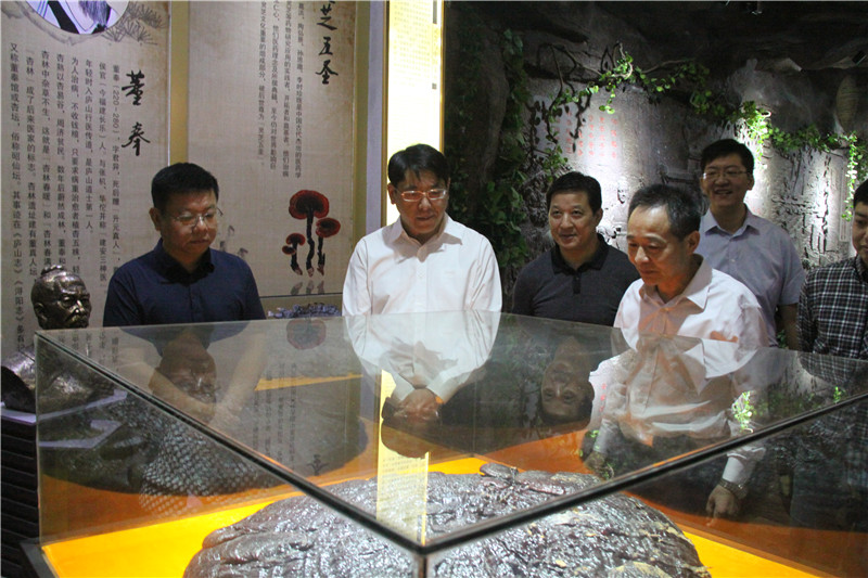 中國(guó)靈芝十大品牌|仙客來(lái)靈芝|仙客來(lái)靈芝破壁孢子粉|仙客來(lái)孢子油|仙客來(lái)靈芝飲片|仙客來(lái)破壁孢子粉|仙客來(lái)靈芝中藥飲片|馳名商標(biāo)|www.thomassmithdesign.com|
