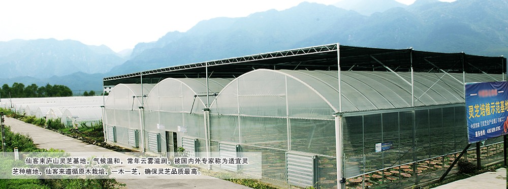 中國靈芝十大品牌|仙客來靈芝|仙客來靈芝破壁孢子粉|仙客來孢子油|仙客來靈芝飲片|仙客來破壁孢子粉|仙客來靈芝中藥飲片|馳名商標(biāo)|www.thomassmithdesign.com|