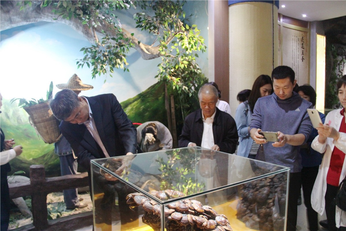 中國(guó)靈芝十大品牌|仙客來(lái)靈芝|仙客來(lái)靈芝破壁孢子粉|仙客來(lái)孢子油|仙客來(lái)靈芝飲片|仙客來(lái)破壁孢子粉|仙客來(lái)靈芝中藥飲片|馳名商標(biāo)|www.thomassmithdesign.com|