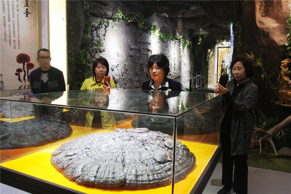 中國靈芝十大品牌|仙客來靈芝|仙客來靈芝破壁孢子粉|仙客來孢子油|仙客來靈芝飲片|仙客來破壁孢子粉|仙客來靈芝中藥飲片|馳名商標(biāo)|www.thomassmithdesign.com|