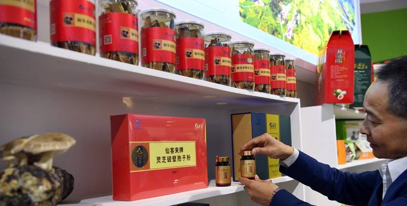 中國靈芝十大品牌|仙客來靈芝|仙客來靈芝破壁孢子粉|仙客來孢子油|仙客來靈芝飲片|仙客來破壁孢子粉|仙客來靈芝中藥飲片|馳名商標(biāo)|www.thomassmithdesign.com|