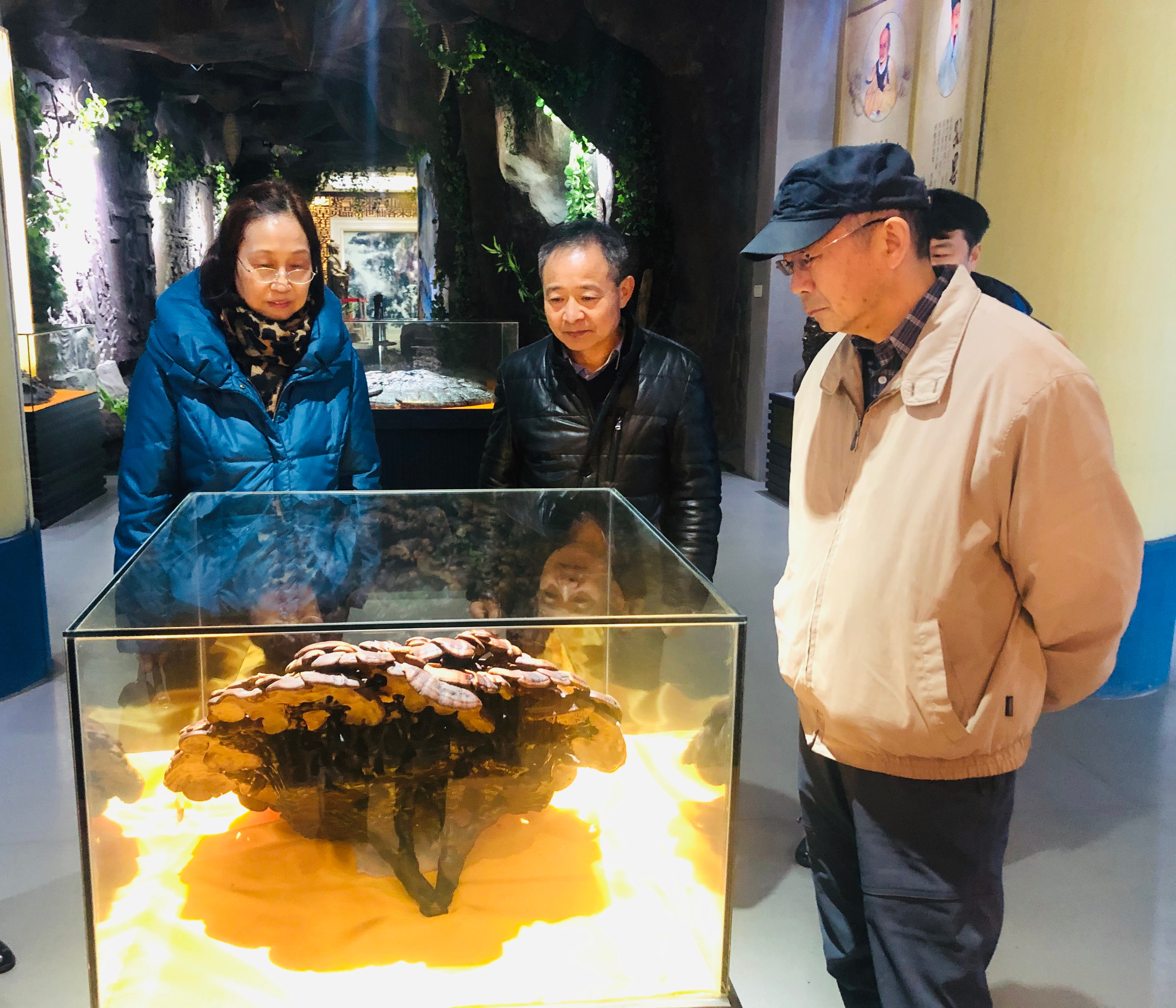 杭州亞運(yùn)會官方靈芝產(chǎn)品供應(yīng)商|杭州亞運(yùn)會官方供應(yīng)商|中國靈芝十大品牌|仙客來靈芝|仙客來靈芝破壁孢子粉|仙客來孢子油|仙客來靈芝飲片|仙客來破壁孢子粉|靈芝孢子油|孢子粉|靈芝破壁孢子粉|靈芝|中華老字號