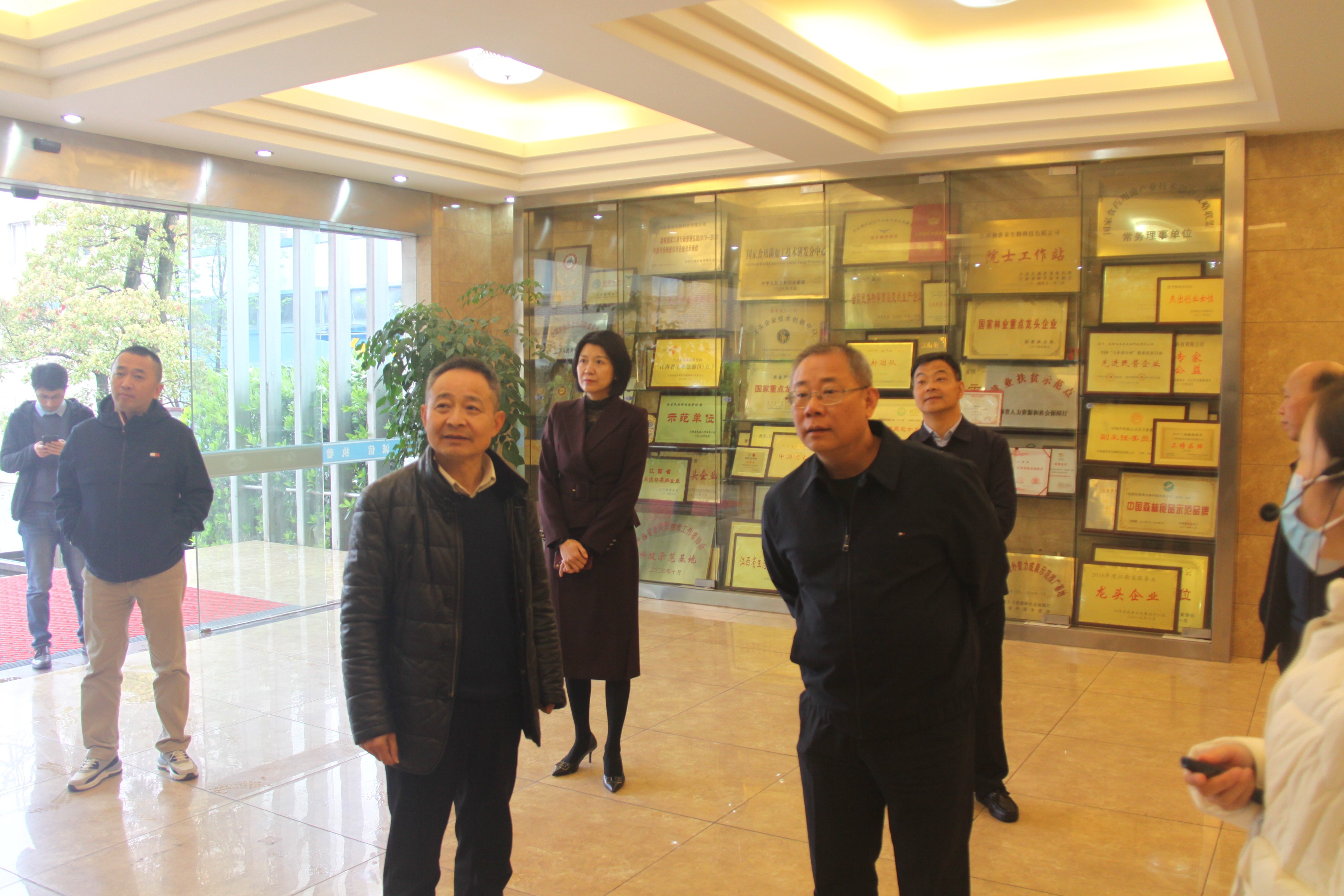 杭州亞運會官方靈芝產(chǎn)品供應商|杭州亞運會官方供應商|中國靈芝十大品牌|仙客來靈芝|仙客來靈芝破壁孢子粉|仙客來孢子油|仙客來靈芝飲片|仙客來破壁孢子粉|靈芝孢子油|孢子粉|靈芝破壁孢子粉|靈芝|中華老字號