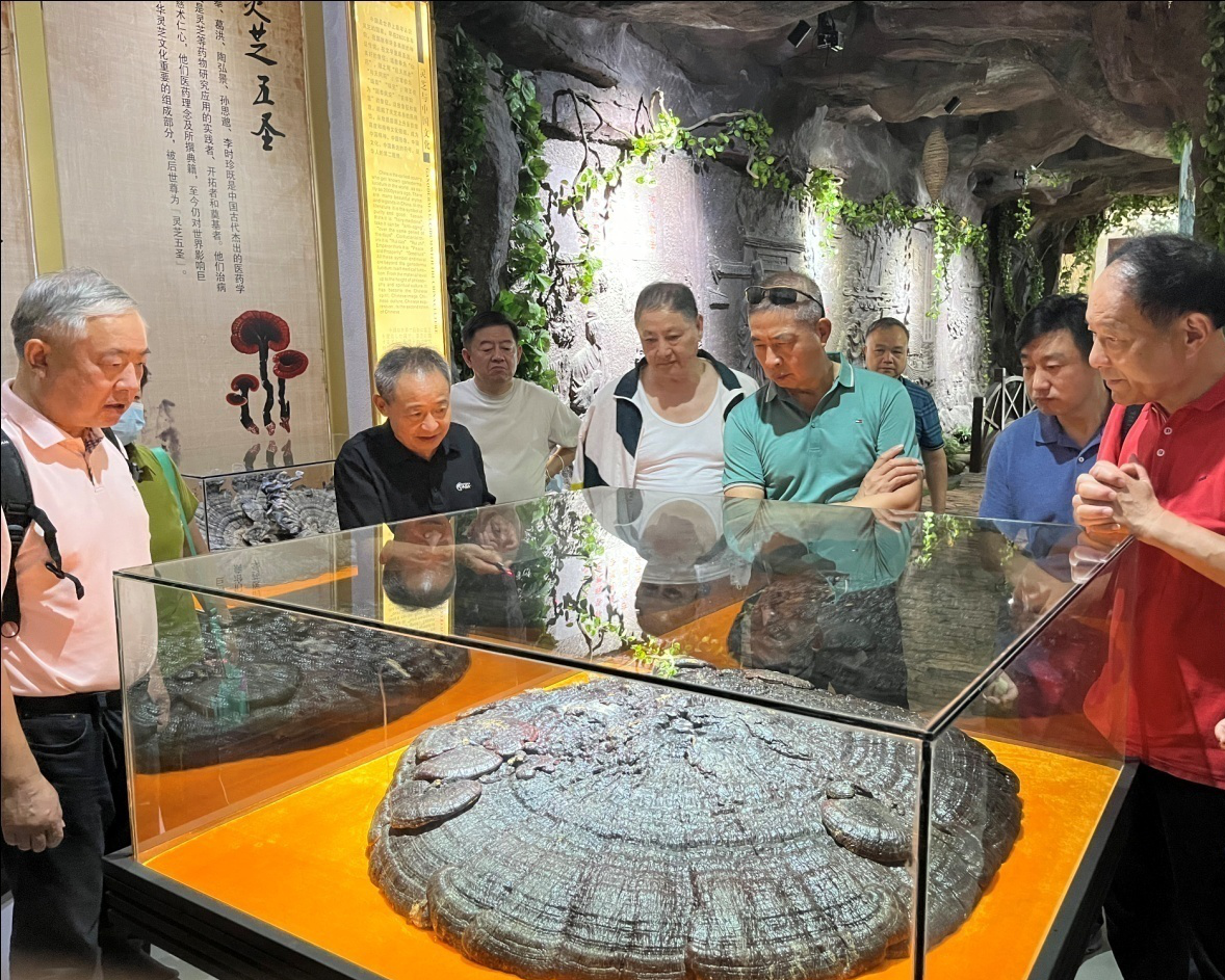 杭州亞運(yùn)會(huì)官方靈芝產(chǎn)品供應(yīng)商|杭州亞運(yùn)會(huì)官方供應(yīng)商|中國靈芝十大品牌|仙客來靈芝|仙客來靈芝破壁孢子粉|仙客來孢子油|仙客來靈芝飲片|仙客來破壁孢子粉|靈芝孢子油|孢子粉|靈芝破壁孢子粉|靈芝|中華老字號(hào)