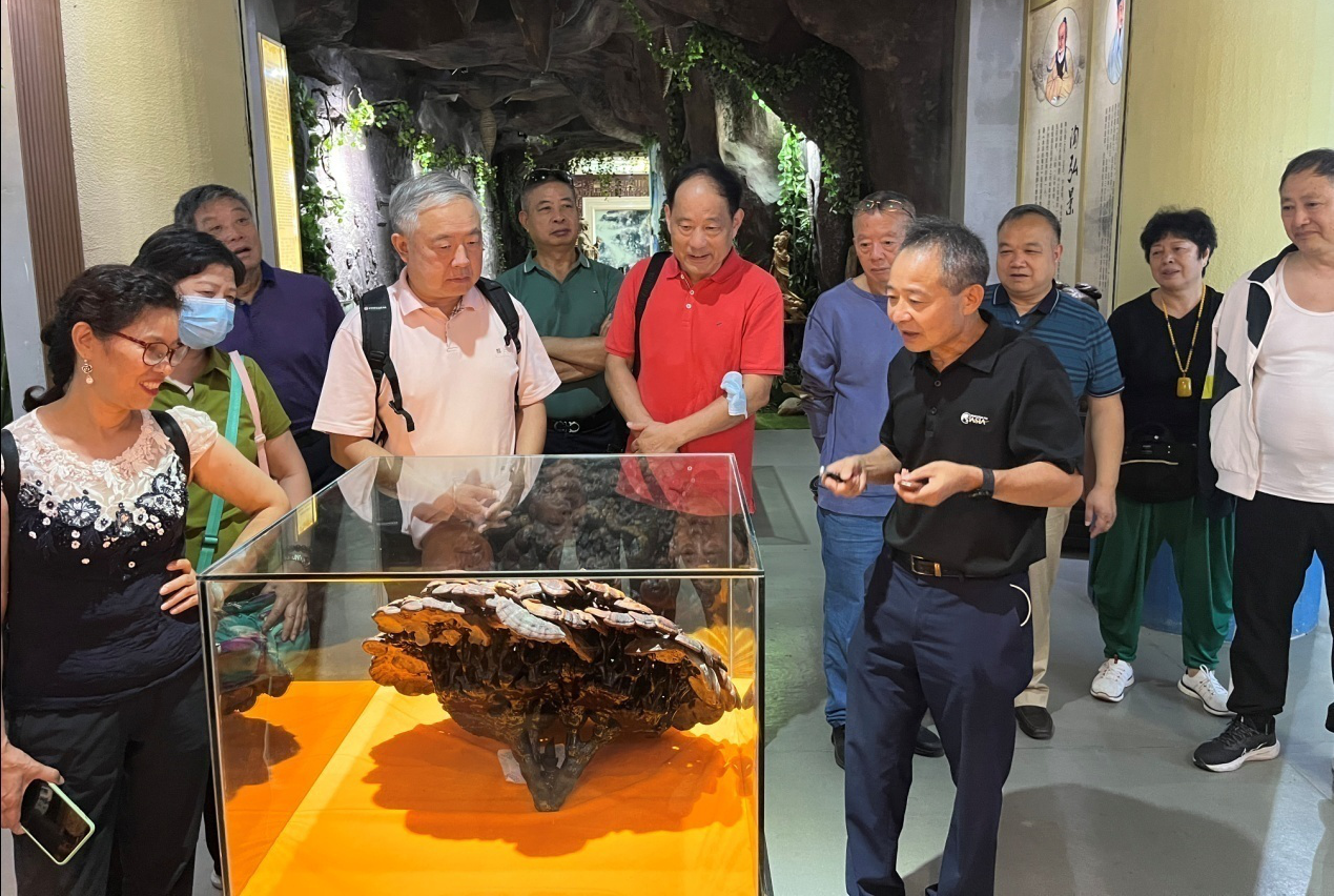杭州亞運(yùn)會(huì)官方靈芝產(chǎn)品供應(yīng)商|杭州亞運(yùn)會(huì)官方供應(yīng)商|中國靈芝十大品牌|仙客來靈芝|仙客來靈芝破壁孢子粉|仙客來孢子油|仙客來靈芝飲片|仙客來破壁孢子粉|靈芝孢子油|孢子粉|靈芝破壁孢子粉|靈芝|中華老字號(hào)