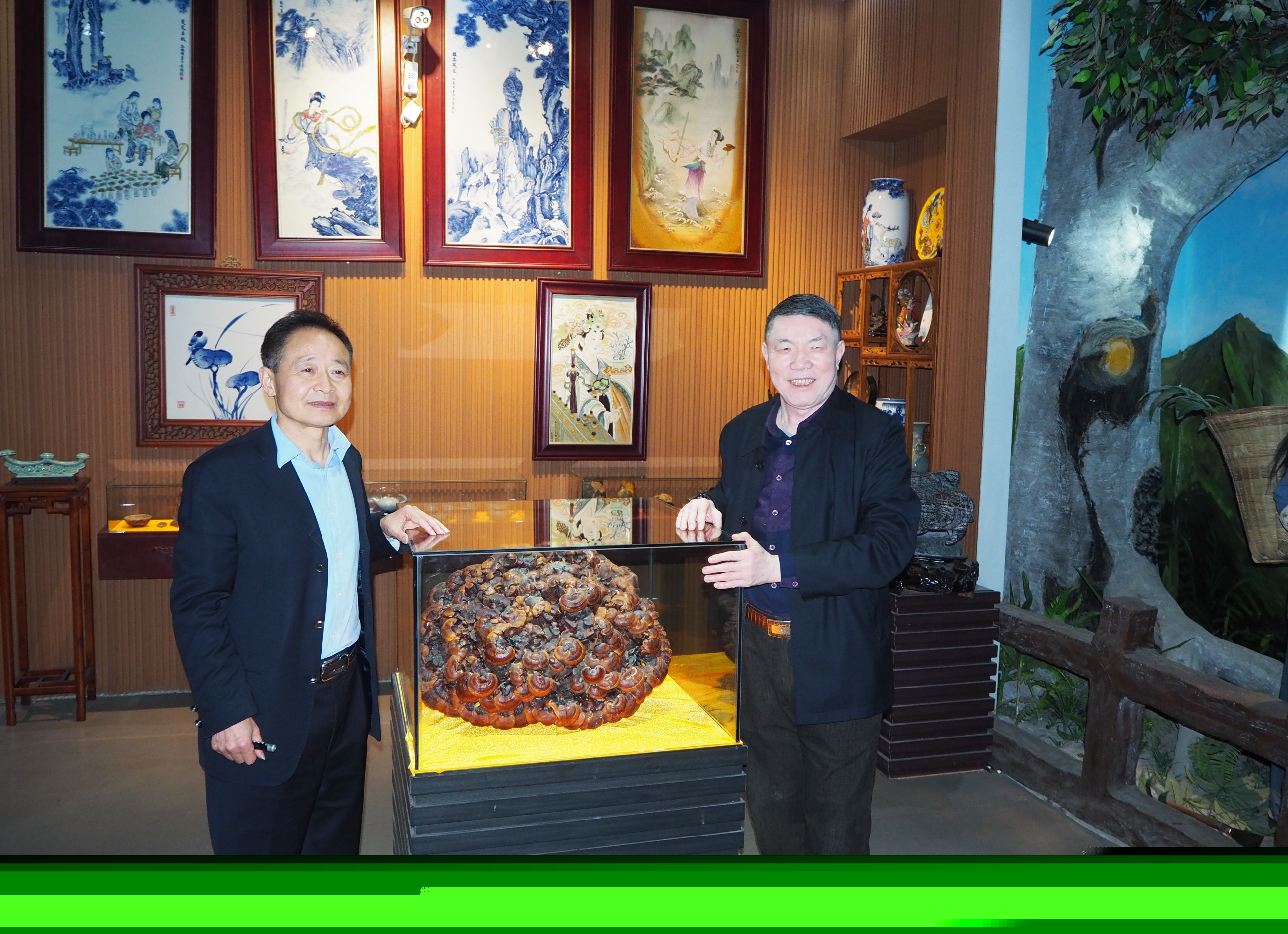 杭州亞運會官方靈芝產(chǎn)品供應(yīng)商|杭州亞運會官方供應(yīng)商|中國靈芝十大品牌|仙客來靈芝|仙客來靈芝破壁孢子粉|仙客來孢子油|仙客來靈芝飲片|仙客來破壁孢子粉|靈芝孢子油|孢子粉|靈芝破壁孢子粉|靈芝|中華老字號