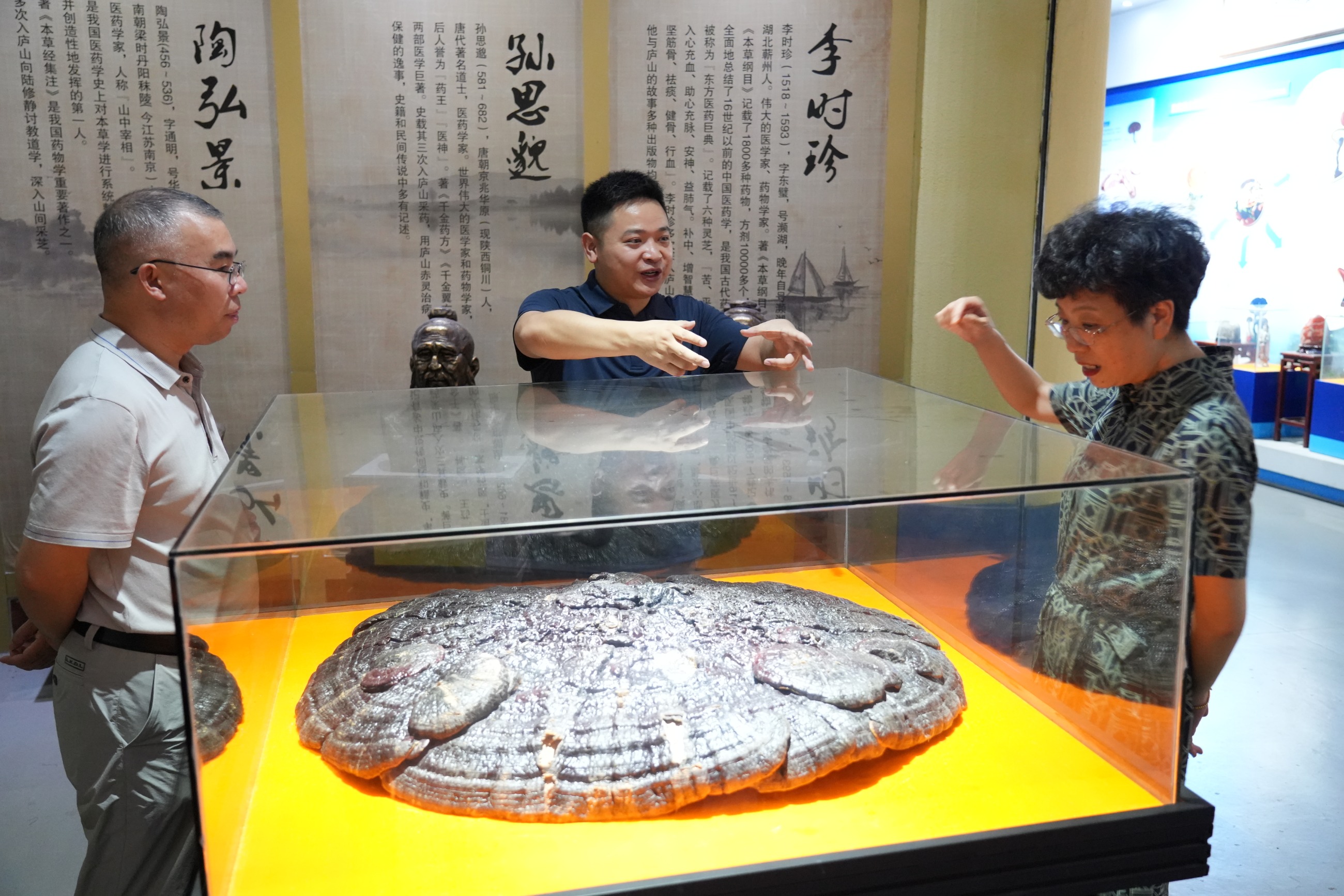 杭州亞運會官方靈芝產(chǎn)品供應(yīng)商|杭州亞運會官方供應(yīng)商|中國靈芝十大品牌|仙客來靈芝|仙客來靈芝破壁孢子粉|仙客來孢子油|仙客來靈芝飲片|仙客來破壁孢子粉|靈芝孢子油|孢子粉|靈芝破壁孢子粉|靈芝|中華老字號