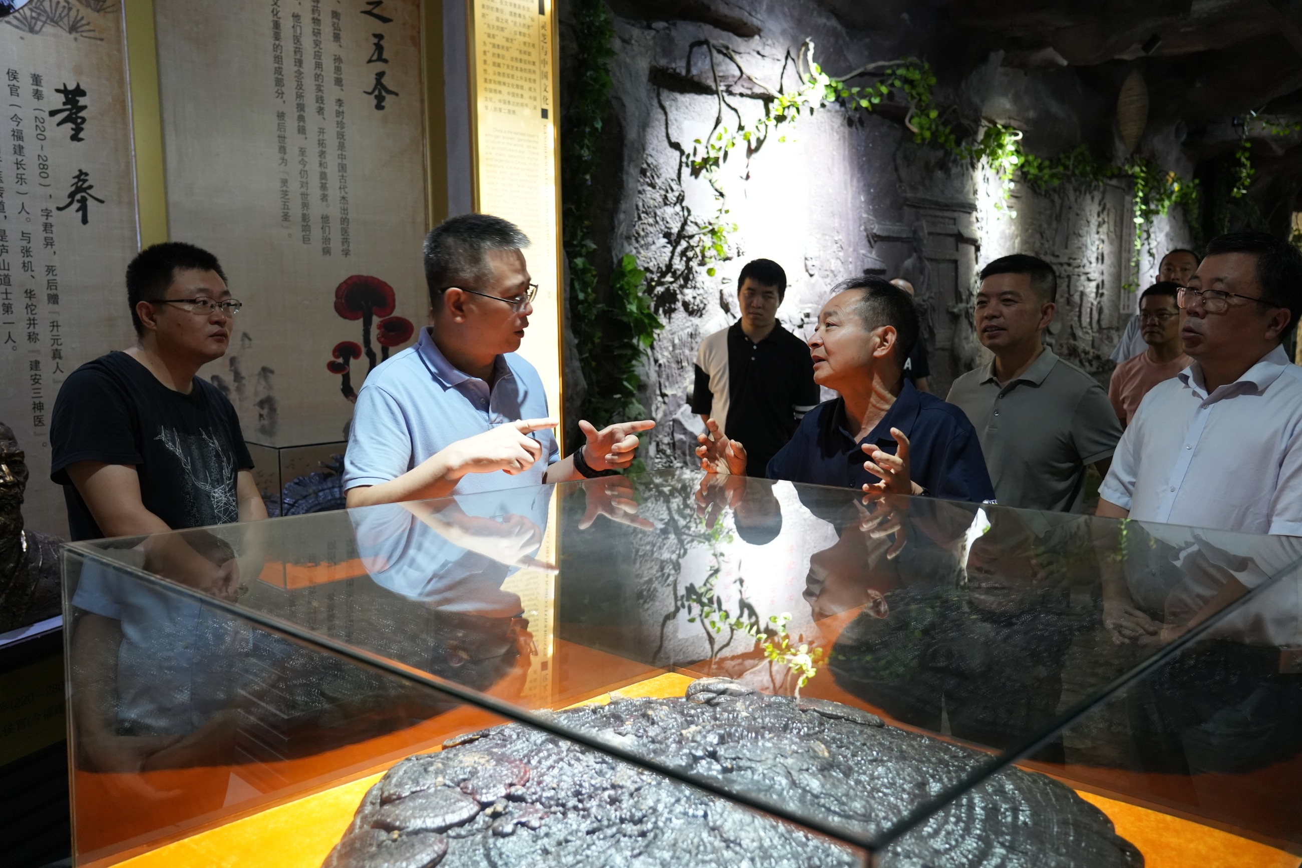 杭州亞運(yùn)會官方靈芝產(chǎn)品供應(yīng)商|杭州亞運(yùn)會官方供應(yīng)商|中國靈芝十大品牌|仙客來靈芝|仙客來靈芝破壁孢子粉|仙客來孢子油|仙客來靈芝飲片|仙客來破壁孢子粉|靈芝孢子油|孢子粉|靈芝破壁孢子粉|靈芝|中華老字號