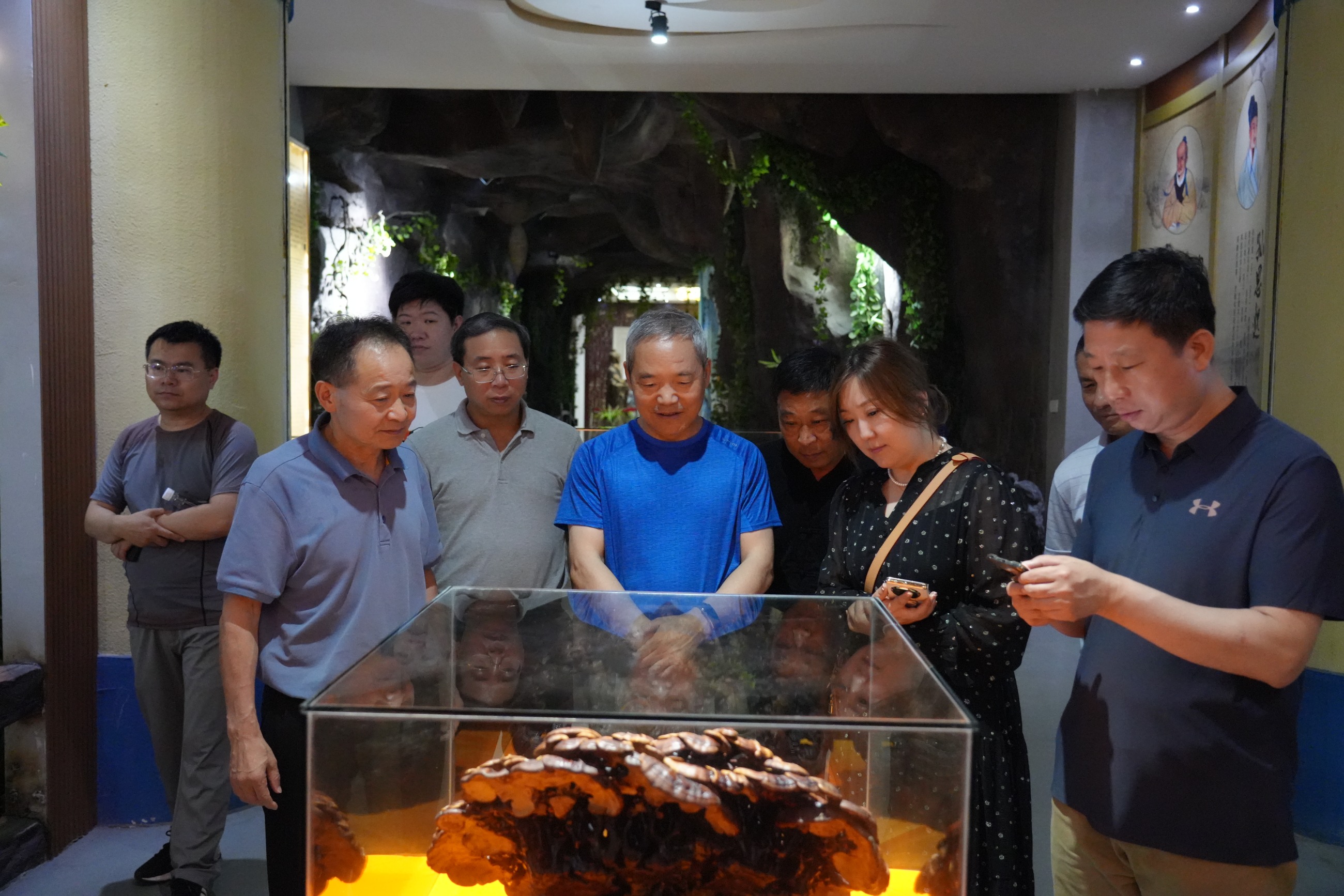 杭州亞運會官方靈芝產(chǎn)品供應商|杭州亞運會官方供應商|中國靈芝十大品牌|仙客來靈芝|仙客來靈芝破壁孢子粉|仙客來孢子油|仙客來靈芝飲片|仙客來破壁孢子粉|靈芝孢子油|孢子粉|靈芝破壁孢子粉|靈芝|中華老字號 杭州亞運會官方靈芝產(chǎn)品供應商|杭州亞運會官方供應商|中國靈芝十大品牌|仙客來靈芝|仙客來靈芝破壁孢子粉|仙客來孢子油|仙客來靈芝飲片|仙客來破壁孢子粉|靈芝孢子油|孢子粉|靈芝破壁孢子粉|靈芝|中華老字號