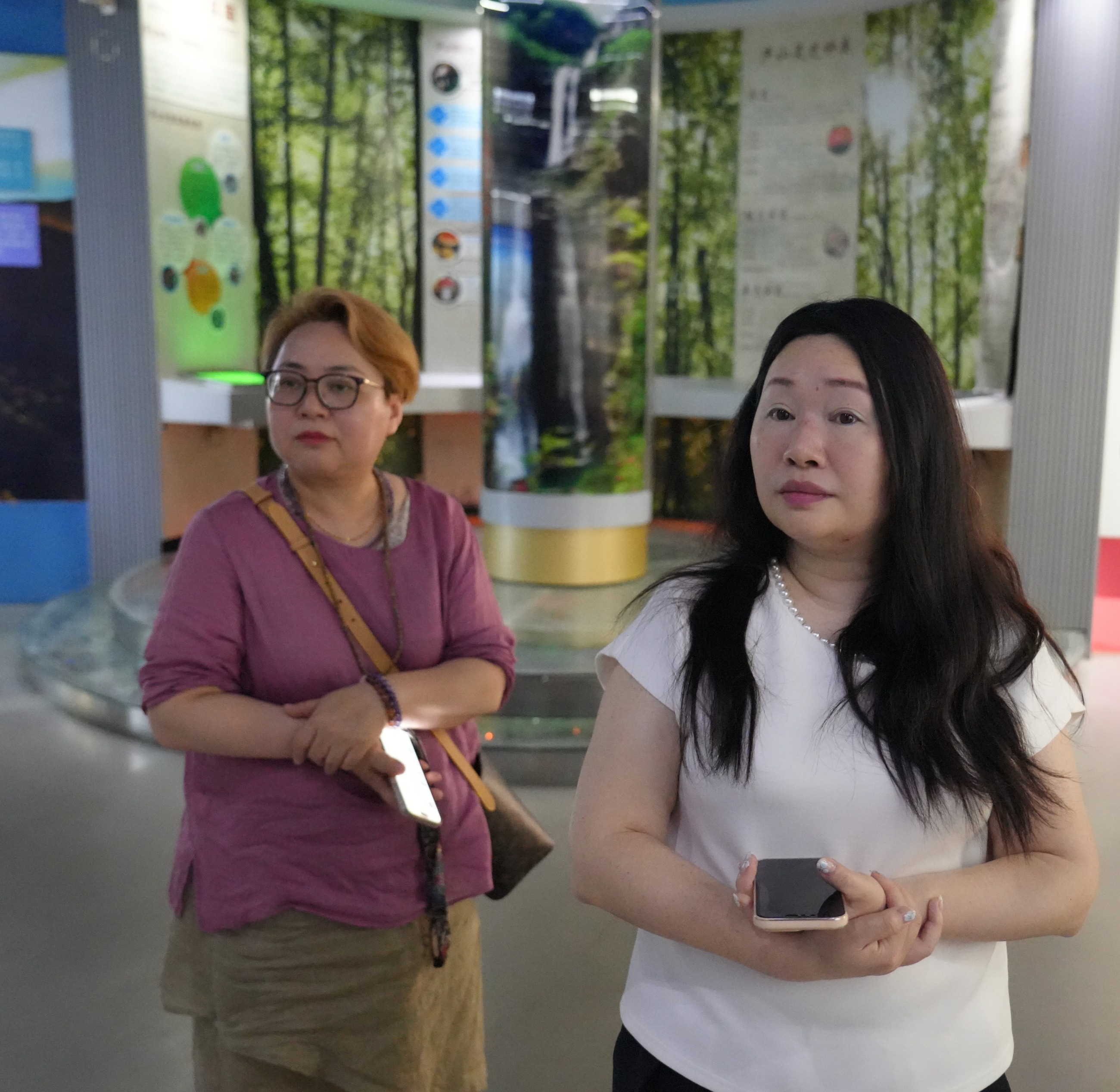 杭州亞運會官方靈芝產(chǎn)品供應商|杭州亞運會官方供應商|中國靈芝十大品牌|仙客來靈芝|仙客來靈芝破壁孢子粉|仙客來孢子油|仙客來靈芝飲片|仙客來破壁孢子粉|靈芝孢子油|孢子粉|靈芝破壁孢子粉|靈芝|中華老字號 杭州亞運會官方靈芝產(chǎn)品供應商|杭州亞運會官方供應商|中國靈芝十大品牌|仙客來靈芝|仙客來靈芝破壁孢子粉|仙客來孢子油|仙客來靈芝飲片|仙客來破壁孢子粉|靈芝孢子油|孢子粉|靈芝破壁孢子粉|靈芝|中華老字號