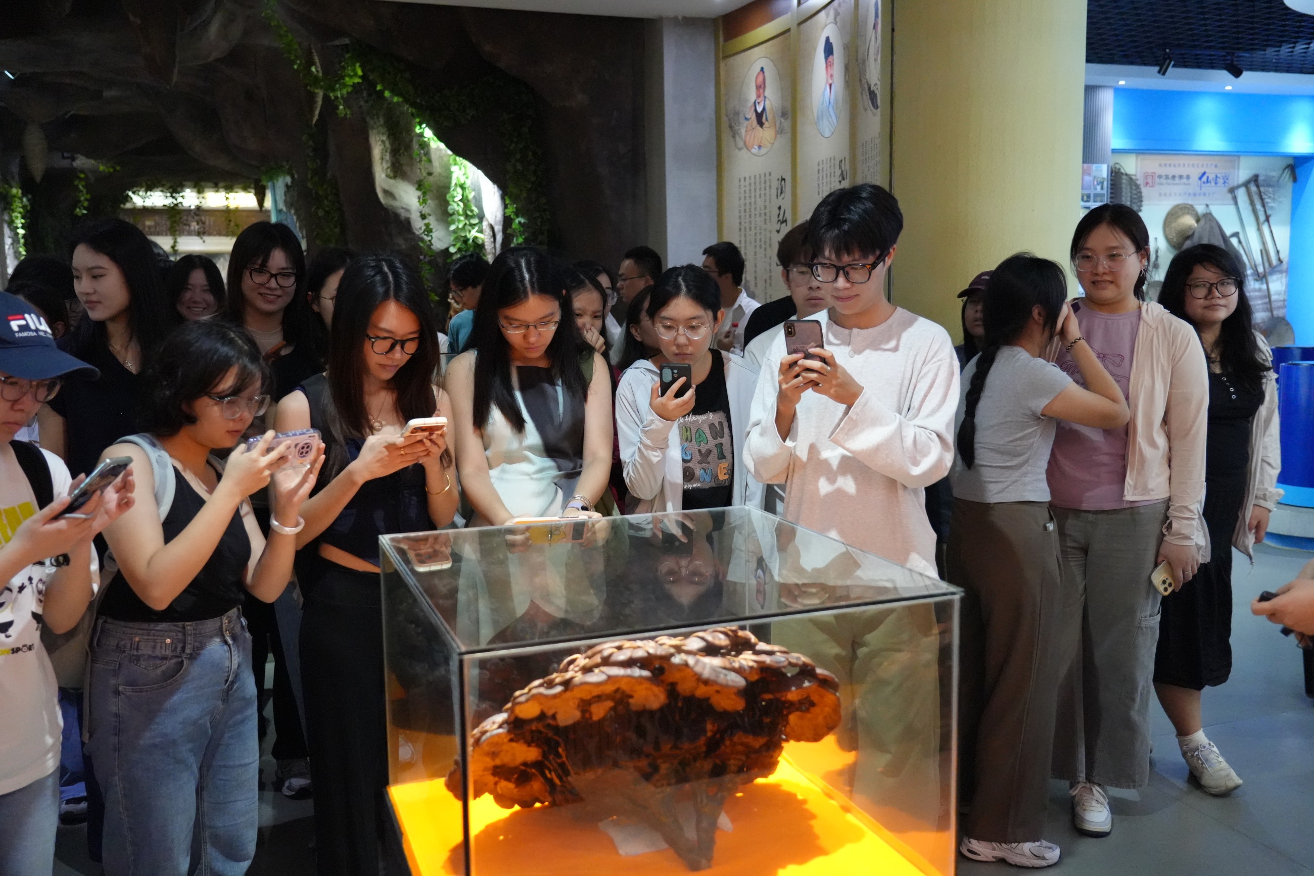 杭州亞運(yùn)會(huì)官方靈芝產(chǎn)品供應(yīng)商|杭州亞運(yùn)會(huì)官方供應(yīng)商|中國(guó)靈芝十大品牌|仙客來(lái)靈芝|仙客來(lái)靈芝破壁孢子粉|仙客來(lái)孢子油|仙客來(lái)靈芝飲片|仙客來(lái)破壁孢子粉|靈芝孢子油|孢子粉|靈芝破壁孢子粉|靈芝|中華老字號(hào) 杭州亞運(yùn)會(huì)官方靈芝產(chǎn)品供應(yīng)商|杭州亞運(yùn)會(huì)官方供應(yīng)商|中國(guó)靈芝十大品牌|仙客來(lái)靈芝|仙客來(lái)靈芝破壁孢子粉|仙客來(lái)孢子油|仙客來(lái)靈芝飲片|仙客來(lái)破壁孢子粉|靈芝孢子油|孢子粉|靈芝破壁孢子粉|靈芝|中華老字號(hào)