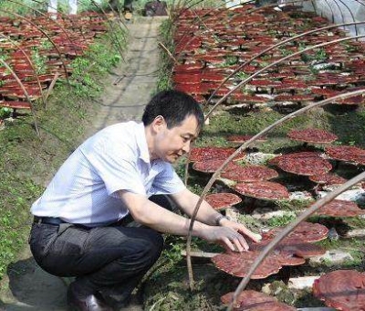 《中國食品報(bào)》報(bào)道仙客來公司多產(chǎn)業(yè)融合發(fā)展