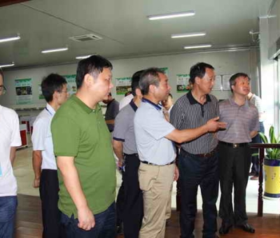 德安縣委、人大、政協(xié)領(lǐng)導(dǎo)考察仙客來公司