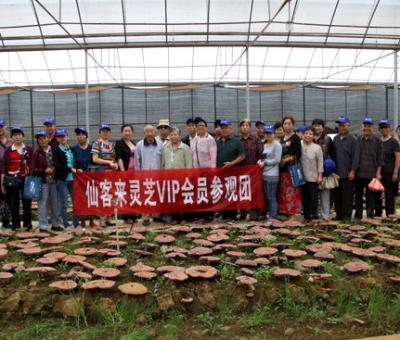 “慶國慶、賀重陽”專家義診活動在仙客來公司隆重舉行