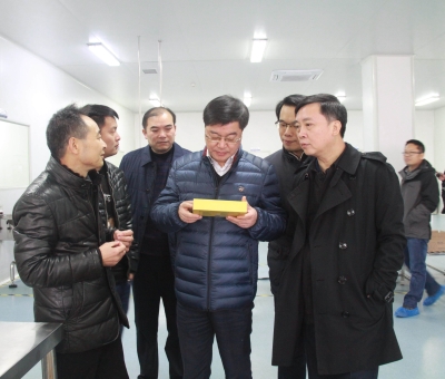 江西省檢察院黨組成員、副檢察長徐勝平一行來公司走訪調(diào)研