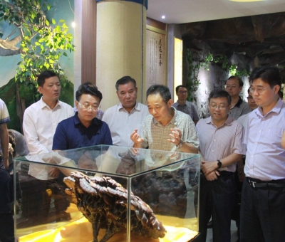 “降成本，優(yōu)環(huán)境”助企業(yè)騰飛——江西省政協(xié)副主席率團(tuán)調(diào)研仙客來！