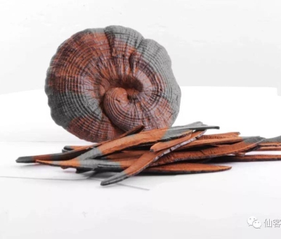 先，鮮，仙，一杯飲盡天下鮮。