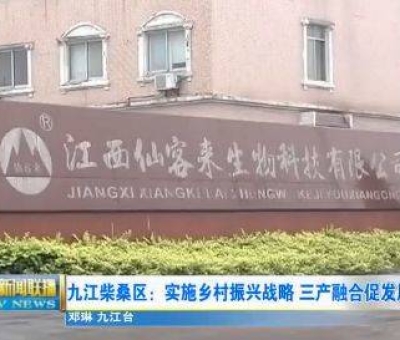 中國人只需要“別具”，缺失了“匠心”！