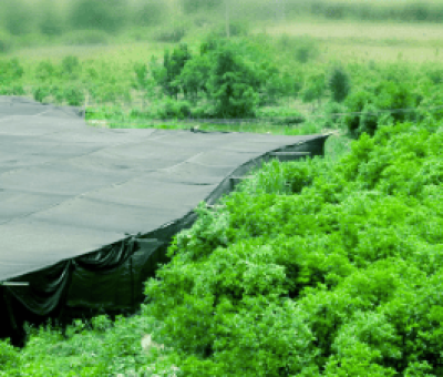 感謝廬山吧，這會是一場“仙旅情緣”