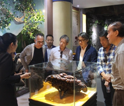 健康“良方”在這！全國(guó)政協(xié)委員、世界著名大學(xué)香港大學(xué) 榮譽(yù)院士孫少文博士蒞臨仙客來公司參觀考察