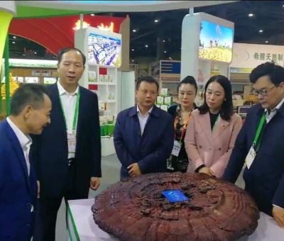 仙客來綠色有機(jī)靈芝在第十七屆中國(guó)國(guó)際農(nóng)產(chǎn)品交易會(huì)一展風(fēng)采
