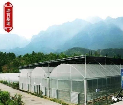 增強(qiáng)免疫力保健食品原料，它排第一