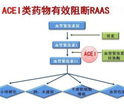 不吃藥，能降低高血壓？