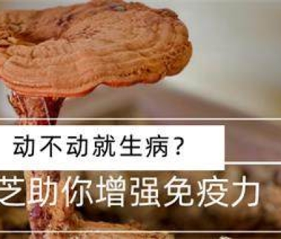 冬病夏治-如何調(diào)養(yǎng)身體？