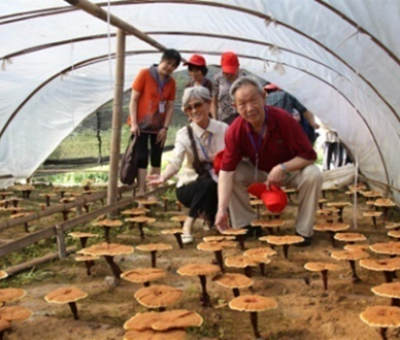 “七一勛章”獲得者張桂梅背后的故事：他們將靈芝磨成粉，送給她拌飯吃，說(shuō)，吃這些能治病