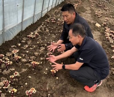 助力少數(shù)民族地區(qū)發(fā)展！潘新華應(yīng)邀前往西藏拉薩市和林芝市 共商產(chǎn)業(yè)發(fā)展良策