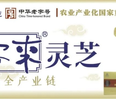 贊助商-仙客來靈芝,為健康加油
